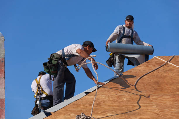 Best Roof Maintenance Services  in Jerome, IL