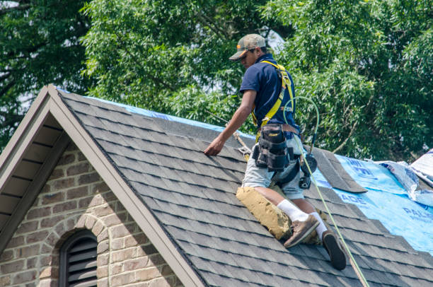 Best Shingle Roofing Installation  in Jerome, IL